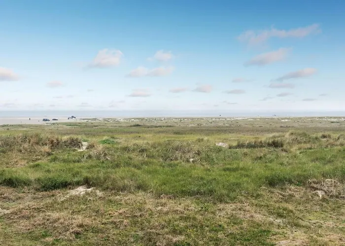 Anedorte - 50m From The Sea By Interhome Apartment Fanø