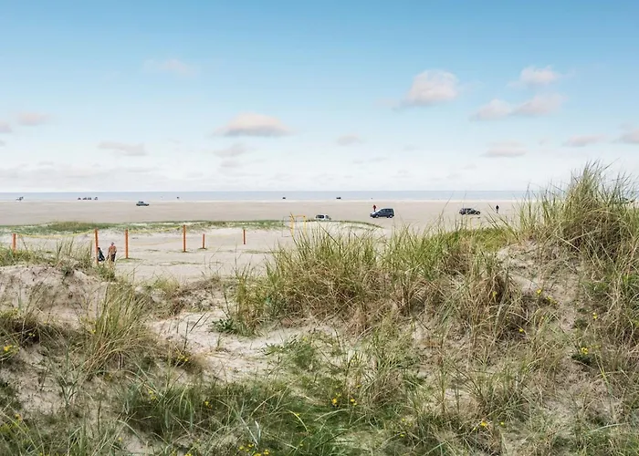 Anedorte - 50m From The Sea By Interhome Apartment Fanø